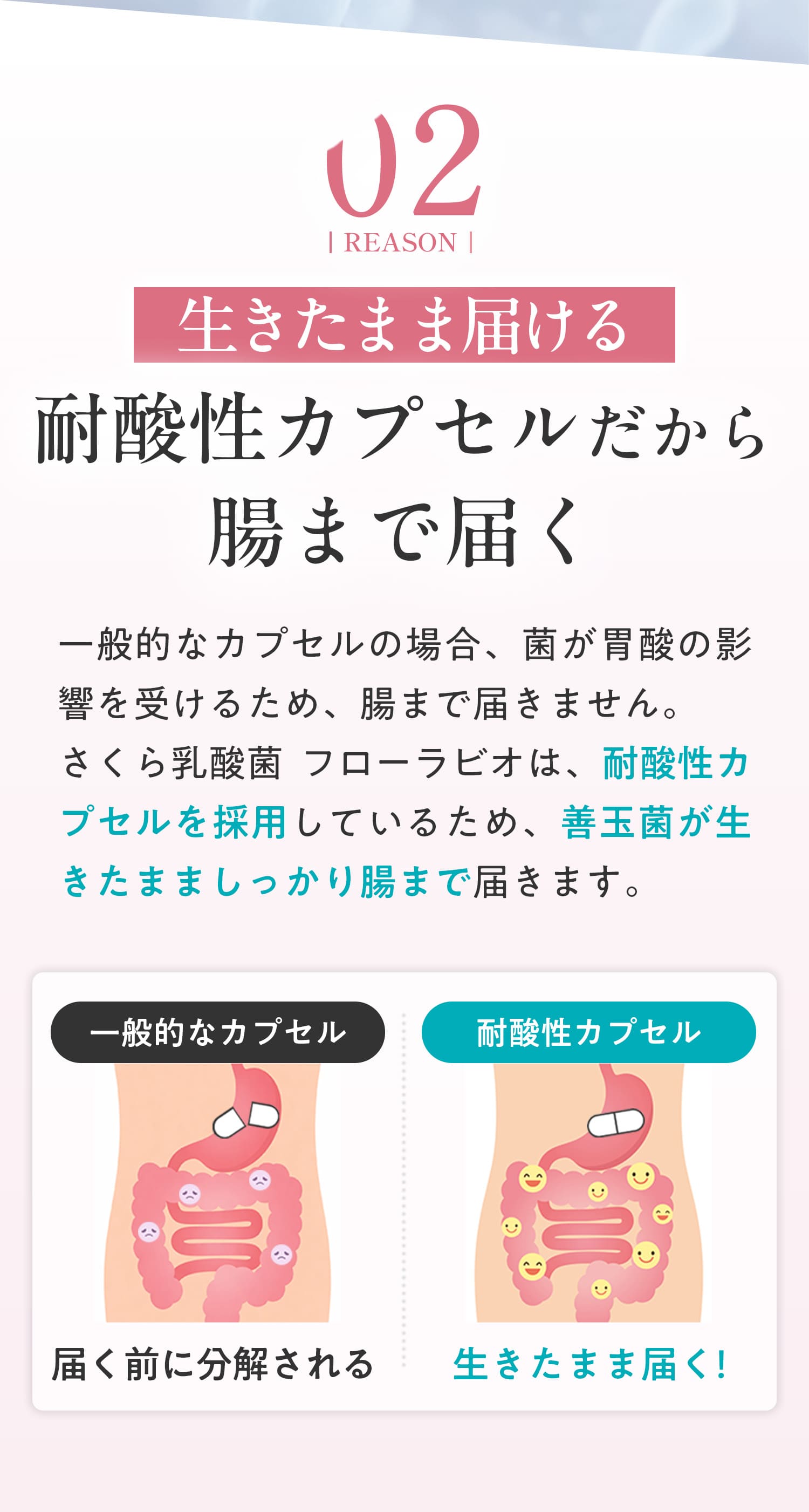 2つ目は、生きたまま届ける、耐酸性カプセルだから腸まで届くこと。
